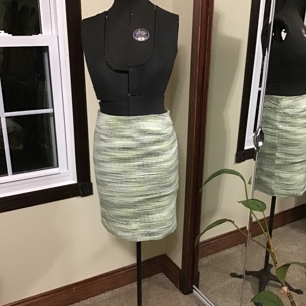 Petite Green Kasper Skirt